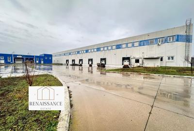 Hala Moderna 6200mp | Panouri Solare - Freidorf - Acces la Centura - 6