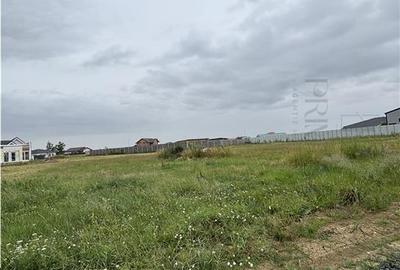 Teren intravilan de 732 mp, în Moșnița Nouă - 2