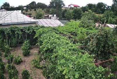 Casă cu 4 camere în Obrejița - 2