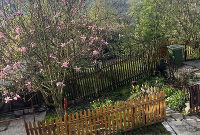 Casă cu 4 camere în Central - 6