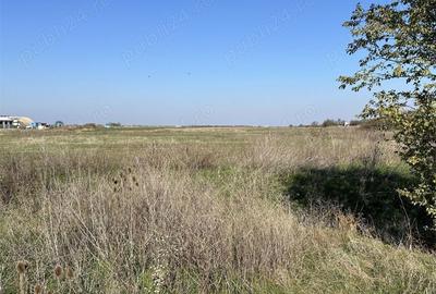 Teren de 22000 mp, în Livada - 8