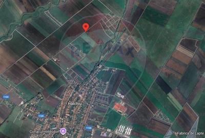 Teren 3.500 MP | Halchiu |  Jud. Brasov - 7