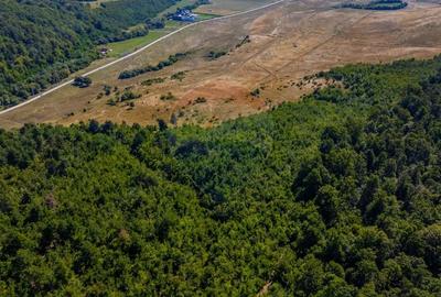 Teren de 6000 mp, în Crizbav - 5