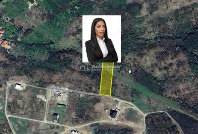 Lugoj Teren 5.300 Mp., Dealul Viilor, Priveliste Impresionanta - 3