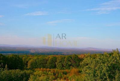 Casa vacanta, 9500 mp teren intravilan, in Valea Calugareas - 13
