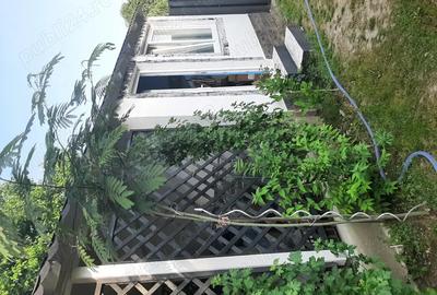 Casa de vanzare Sannicolau Mare - 3