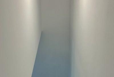 Duplex cu 3 camere cu Teren 300 Mp în Dumbrăvița - 13