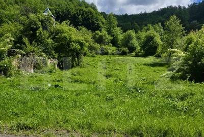 Teren intravilan de vanzare, 1609 mp, zona Petre?ti - 2