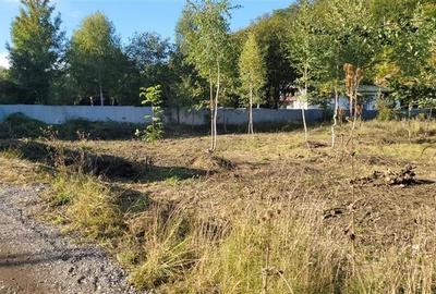 Teren intravilan, 699mp, Noua, Brasov Teren intravilan, 699mp, Noua, Brasov - 5