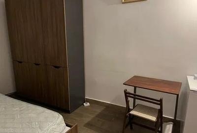 Garsoniera, PET FRIENDLY, zona Independentei - 4