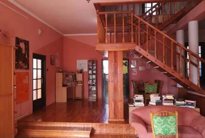 Vila in Mezohegyes, Ungaria, 40 kilometri de Arad - 4