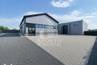 Spațiu comercial, de 350 mp, în Lipovei