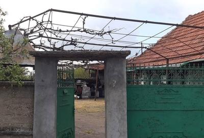 Casă cu 3 camere în Central - 7