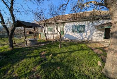 Casa batraneasca teren - Cerna (jud. Tulcea) - 1