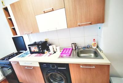 Inchiriere garsoniera ANL Brancusi Valea Oltului  la cateva min metrou Valea Ial - 19