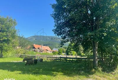 Spațiu comercial, în Moieciu - 8