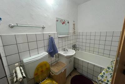 Caransebes, CHIRIE, 2 Camere, Pipirig - 4