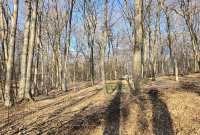 Teren cu sufrafata de 1100 mp in Padurea Faget - 6