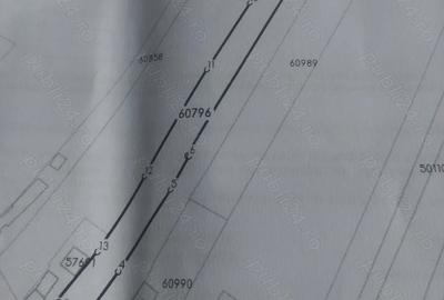 Casă cu 4 camere cu Teren 6000 Mp în Țifești - 2