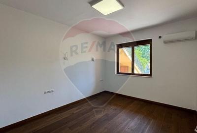Spatiu de birouri de inchiriat - la casa cu 4 apartamente pe Racovita - 20