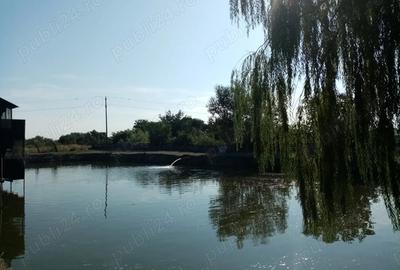 Proprietate de vanzare 3690 mp cu balta populata - 3