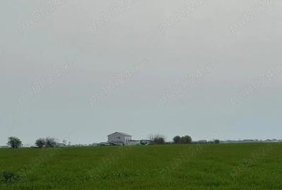 Teren de 20000 mp, în Vârteju - 1