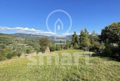 Teren de 1000 mp, în Horea - 10
