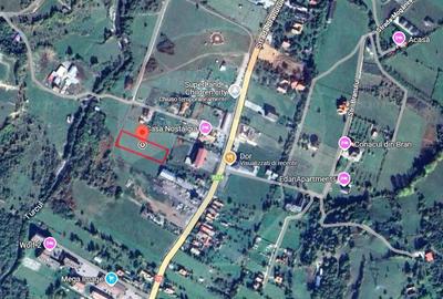 Teren Intravilan in Zarnesti / Soseaua Branului - 1