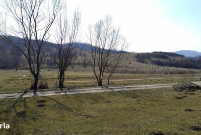 Spațiu comercial, în Făcăi - 16