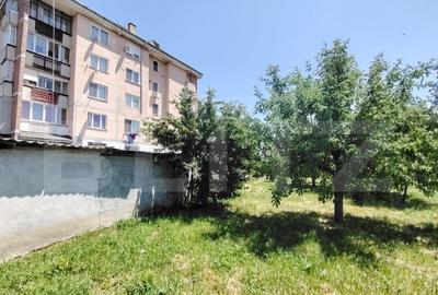 Casă cu 3 camere cu Teren 1454 Mp în Criș - 15