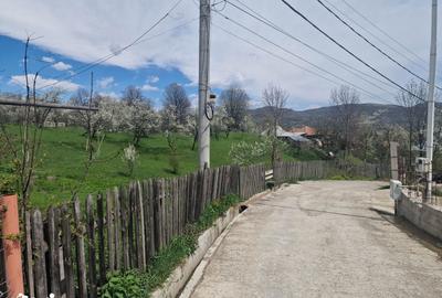 Teren de 3500 mp, în Ghioșești - 12