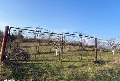 Teren de 3100 mp, în Nimigea - 5