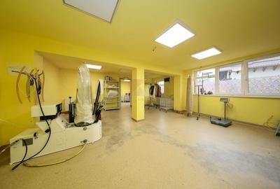 Proprietate mixtă cu spațiu comercial și locuință, Cristian - 6