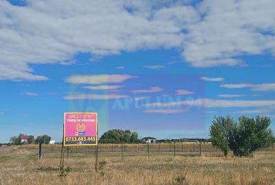 Gulia, teren reziden?ial 1500 mp, cu utilita?i - 1