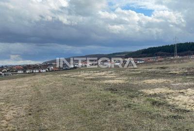Teren de Vanzare | Ideal dezvoltare Imobiliare Chinteni - 3