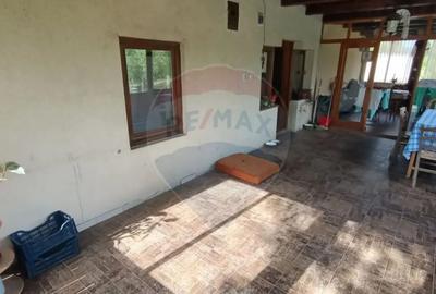 Casă cu 3 camere cu Teren 3000 Mp în Copalnic - 5