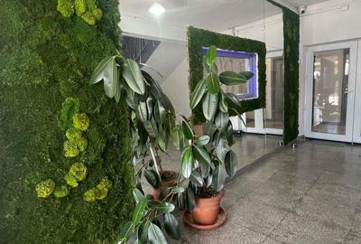 Spatii pretabile pt cabinete medicale stomatologie coafor frizerie cosmetica - 7