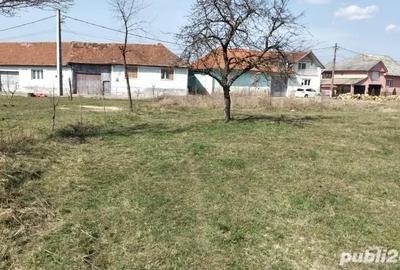 Teren de 2383 mp, în Buntești - 7