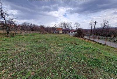 Casa situata in Oras Tismana - Valcele - 19