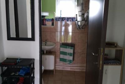 Casă cu 2 camere în Șilea - 3