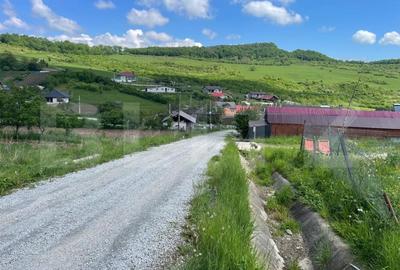 Teren de vanzare 1917 mp, zona Valea Jelnei - 5