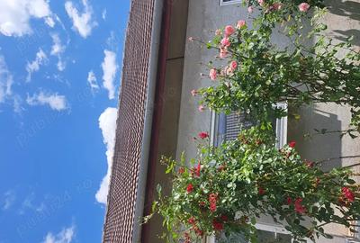 Proprietate ( 2 case+ teren) de vanzare in Parta