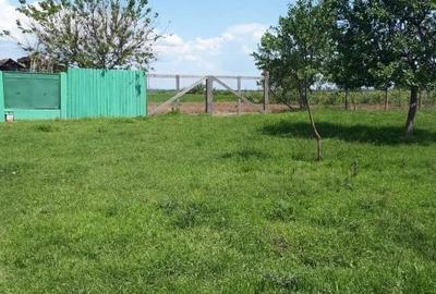 Casă cu 2 camere în Alioș - 5