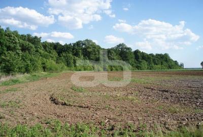 Teren de 620 mp, în Izvorani - 4