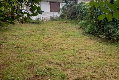 De vanzare casa batraneasca cu teren generos in Poiana Golului Re?i?a De vanzare casa batraneasca cu teren generos in Poiana Golului Re?i?a - 6