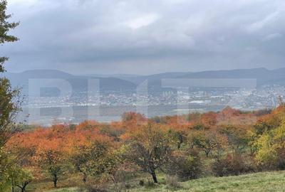 Teren de vanzare Subcetate, zona Livada - 6