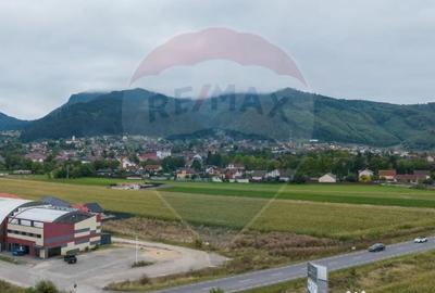 Teren de 440 mp, în Baciu - 9