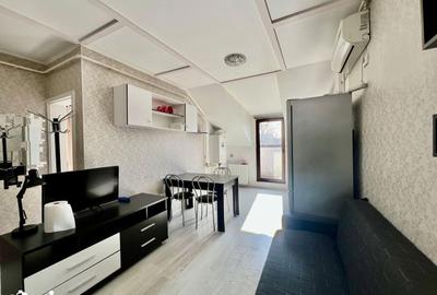 Apartament cu 2 camere semidecomandat, mobilat în Tudor Vladimirescu - 4