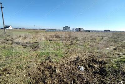 Teren de 7439 mp, în Cârcea - 6