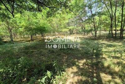 Casă cu 2 camere cu Teren 5209 Mp în Mușetești - 6